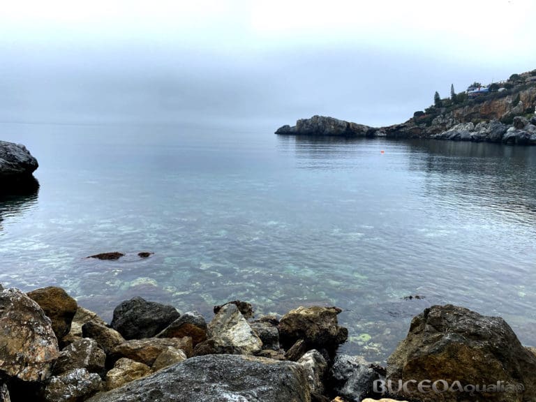 Buceo en Marina del Este