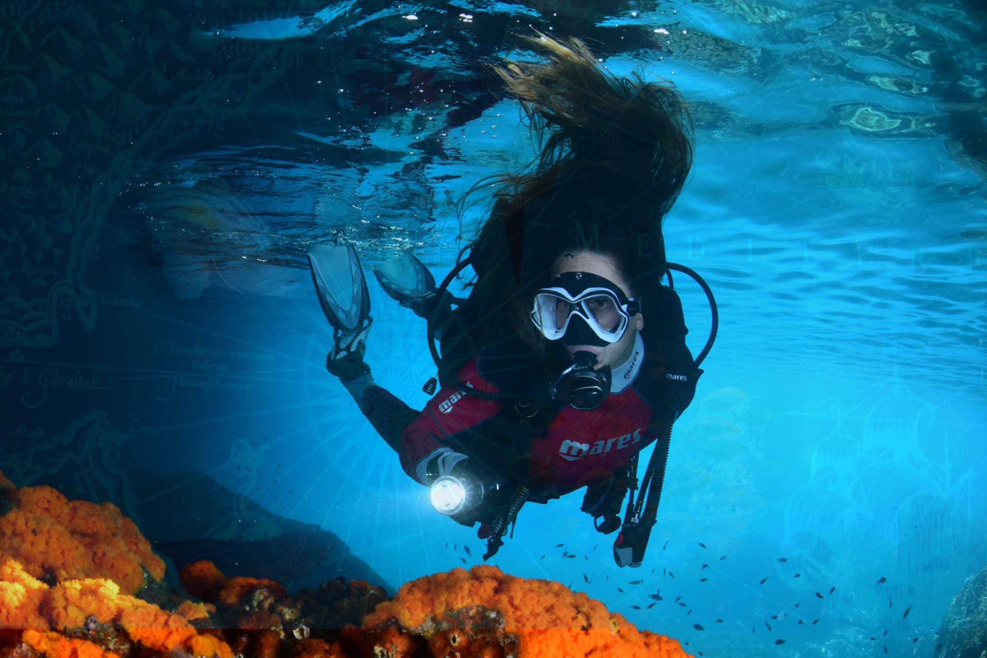 Cursos de buceo en La Herradura